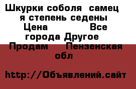 Шкурки соболя (самец) 1-я степень седены › Цена ­ 12 000 - Все города Другое » Продам   . Пензенская обл.